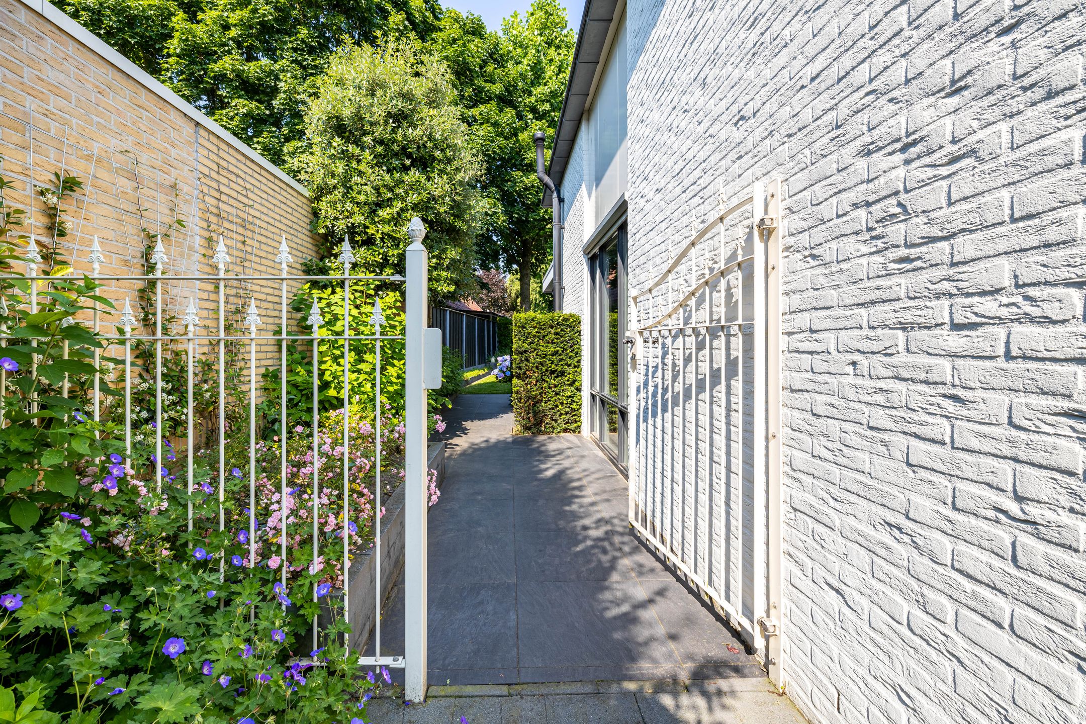 Photo 27 of Montfort 12