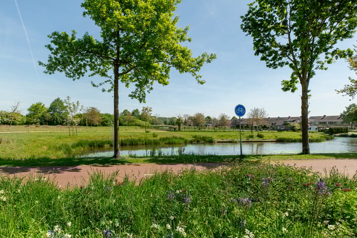 Foto 28 van Jan van Glymesstraat 35