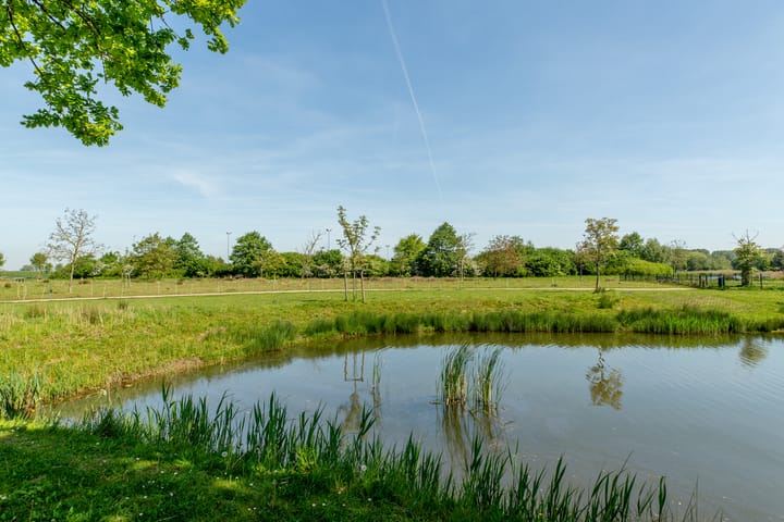 Foto 33 van Jan van Glymesstraat 35