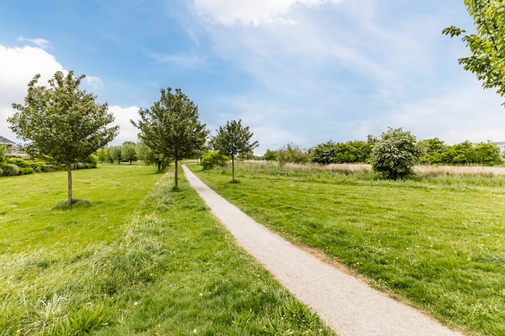 Foto 50 van Tollenaarsgroet 1