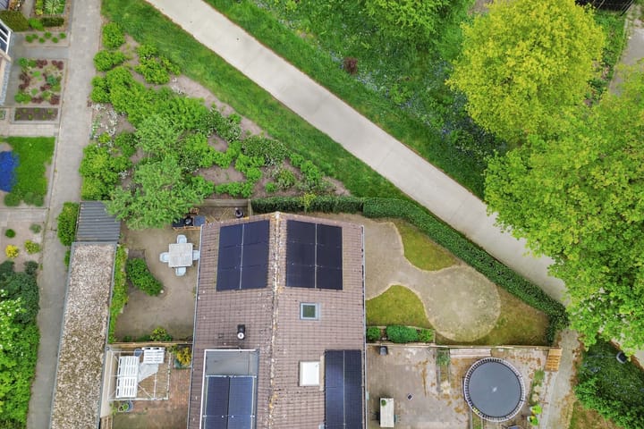 Foto 2 van Zwemmer 57