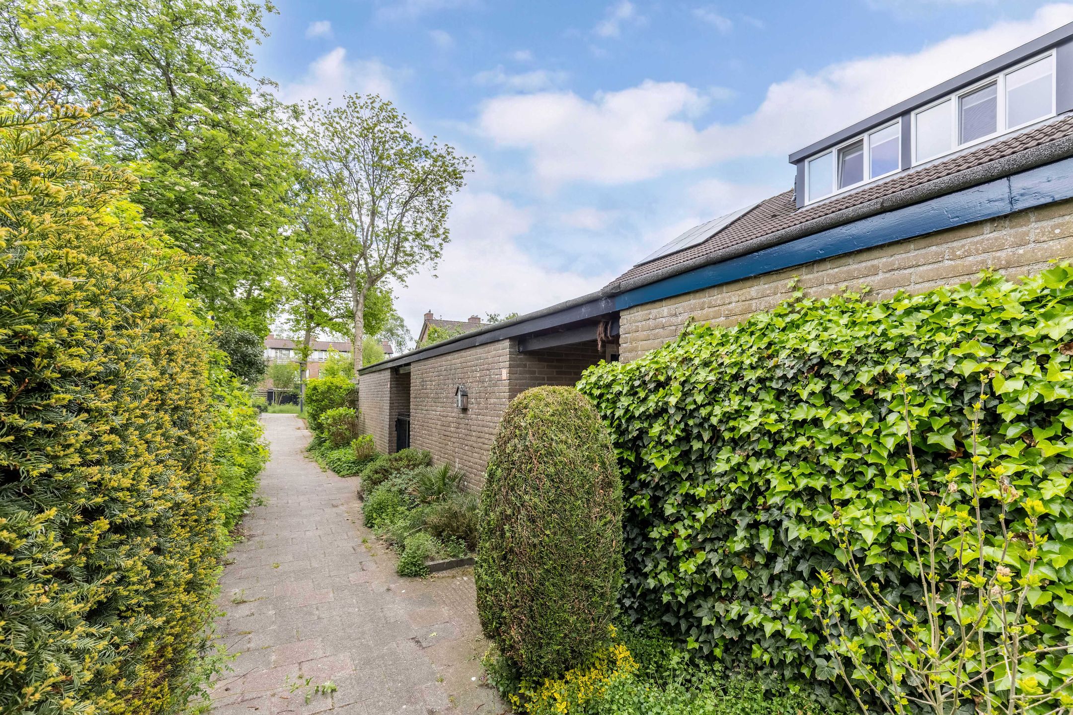 Foto 6 van Zwemmer 57