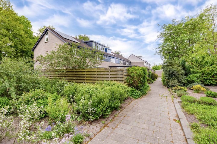 Photo 7 of Zwemmer 57