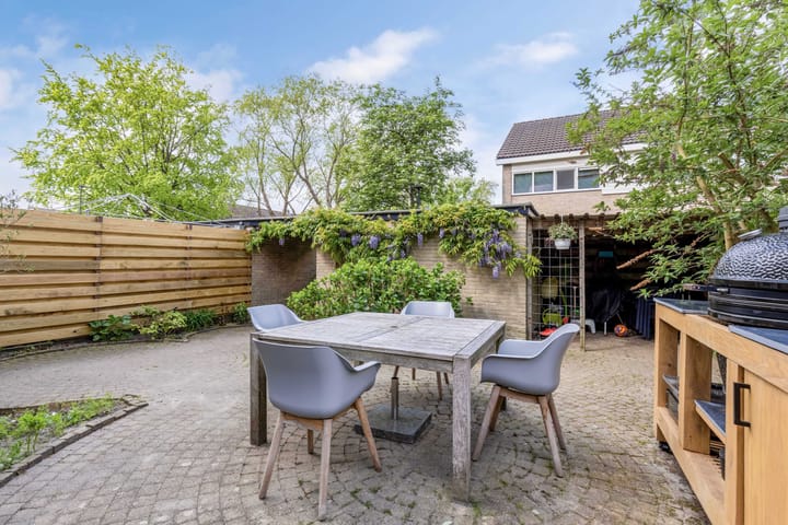 Photo 12 of Zwemmer 57