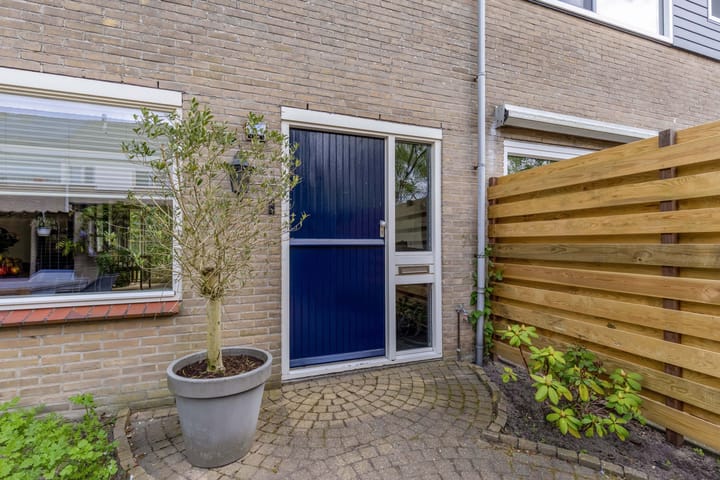 Photo 14 of Zwemmer 57