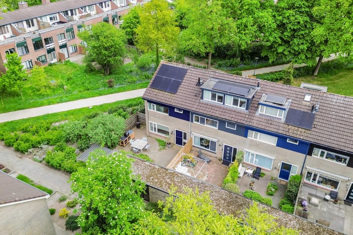 Photo 15 of Zwemmer 57