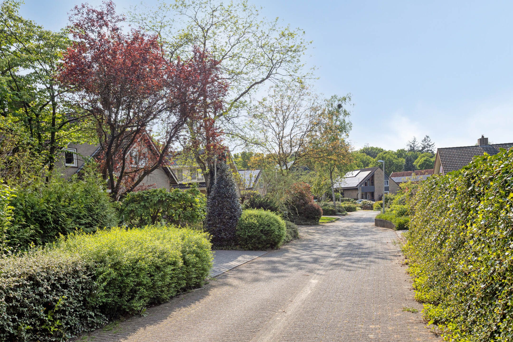 Foto 57 van Tusseler 69