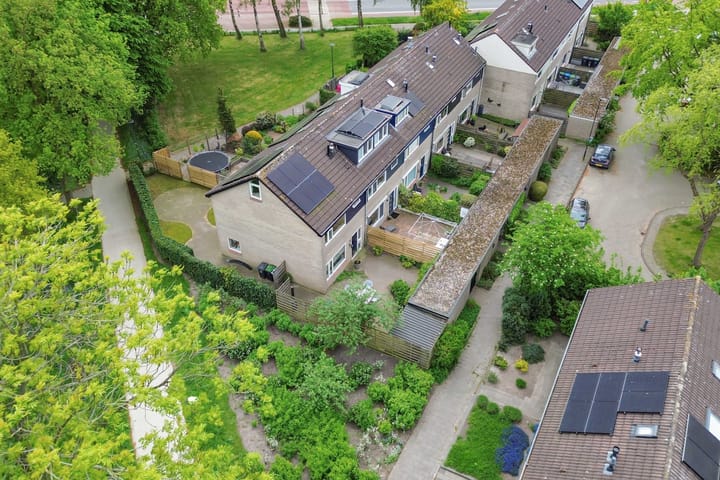 Photo 17 of Zwemmer 57