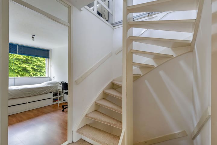 Photo 38 of Zwemmer 57