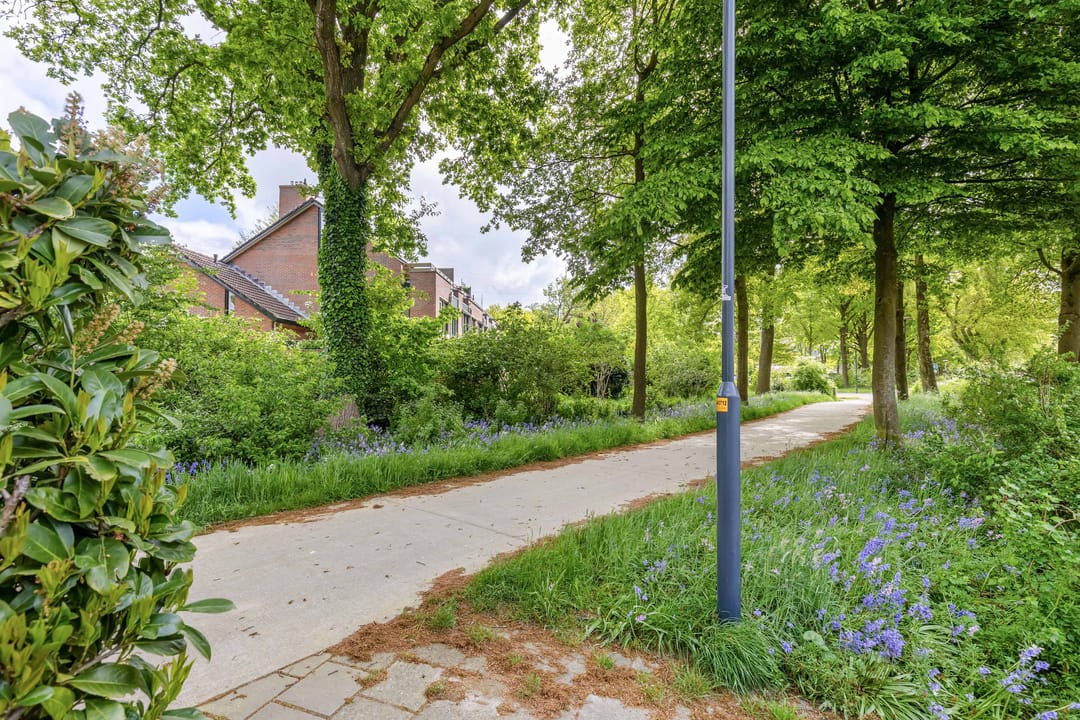 Foto 46 van Zwemmer 57