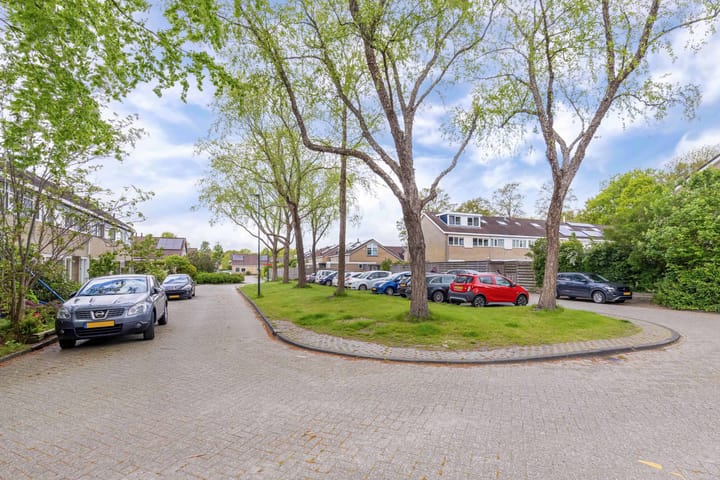 Photo 48 of Zwemmer 57