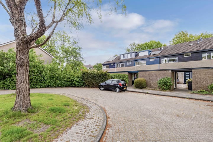 Photo 49 of Zwemmer 57