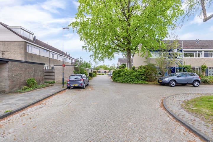 Photo 50 of Zwemmer 57