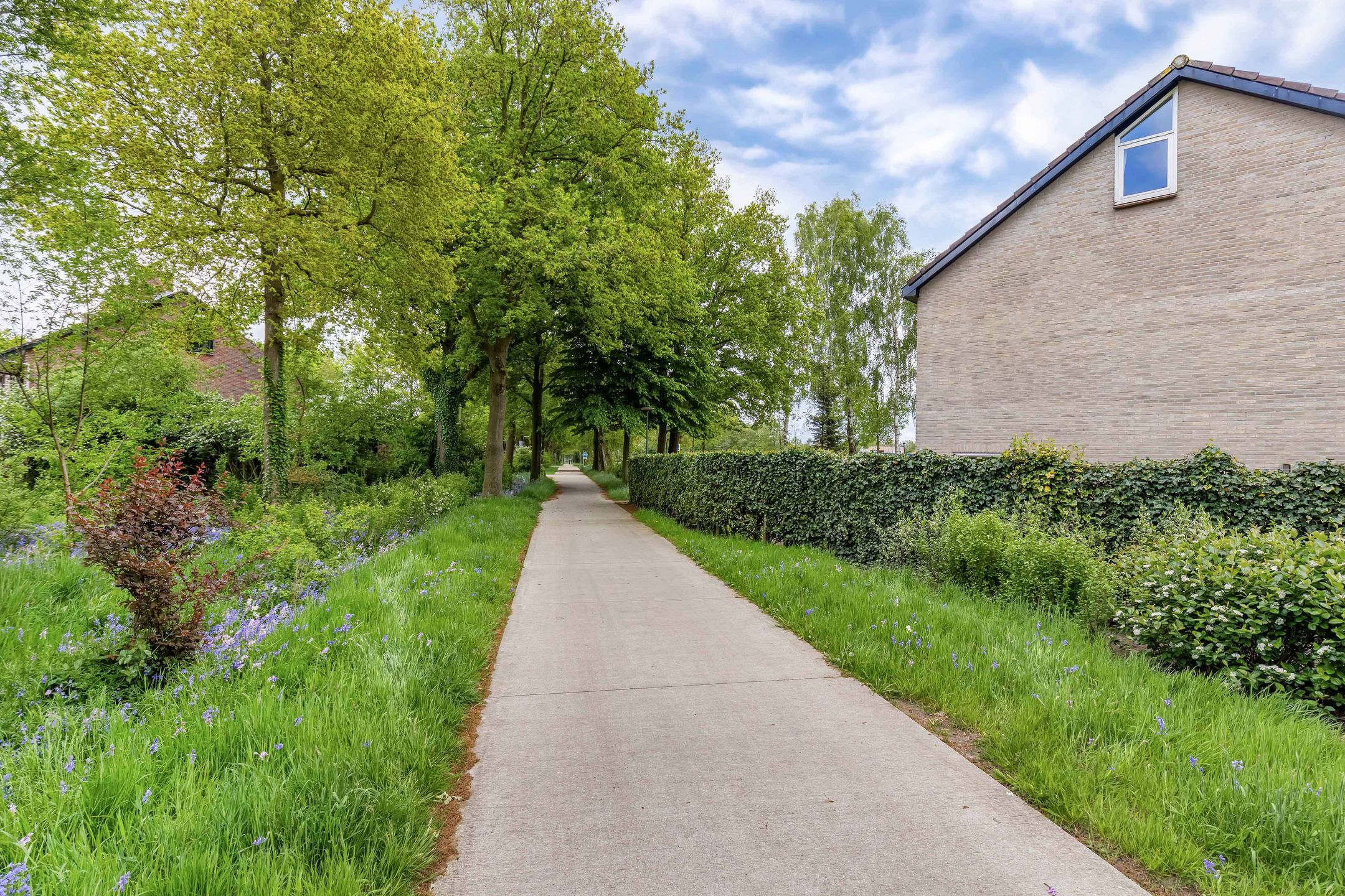 Foto 51 van Zwemmer 57