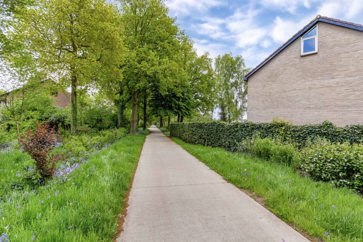 Photo 51 of Zwemmer 57