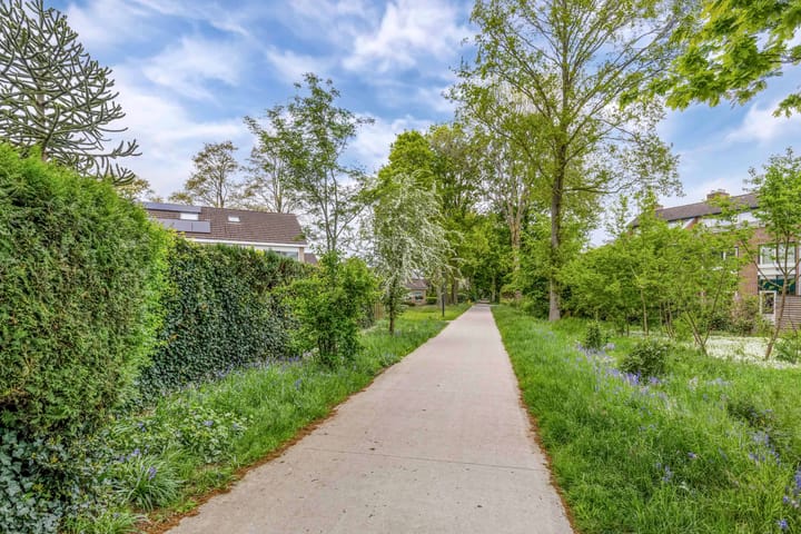 Photo 52 of Zwemmer 57