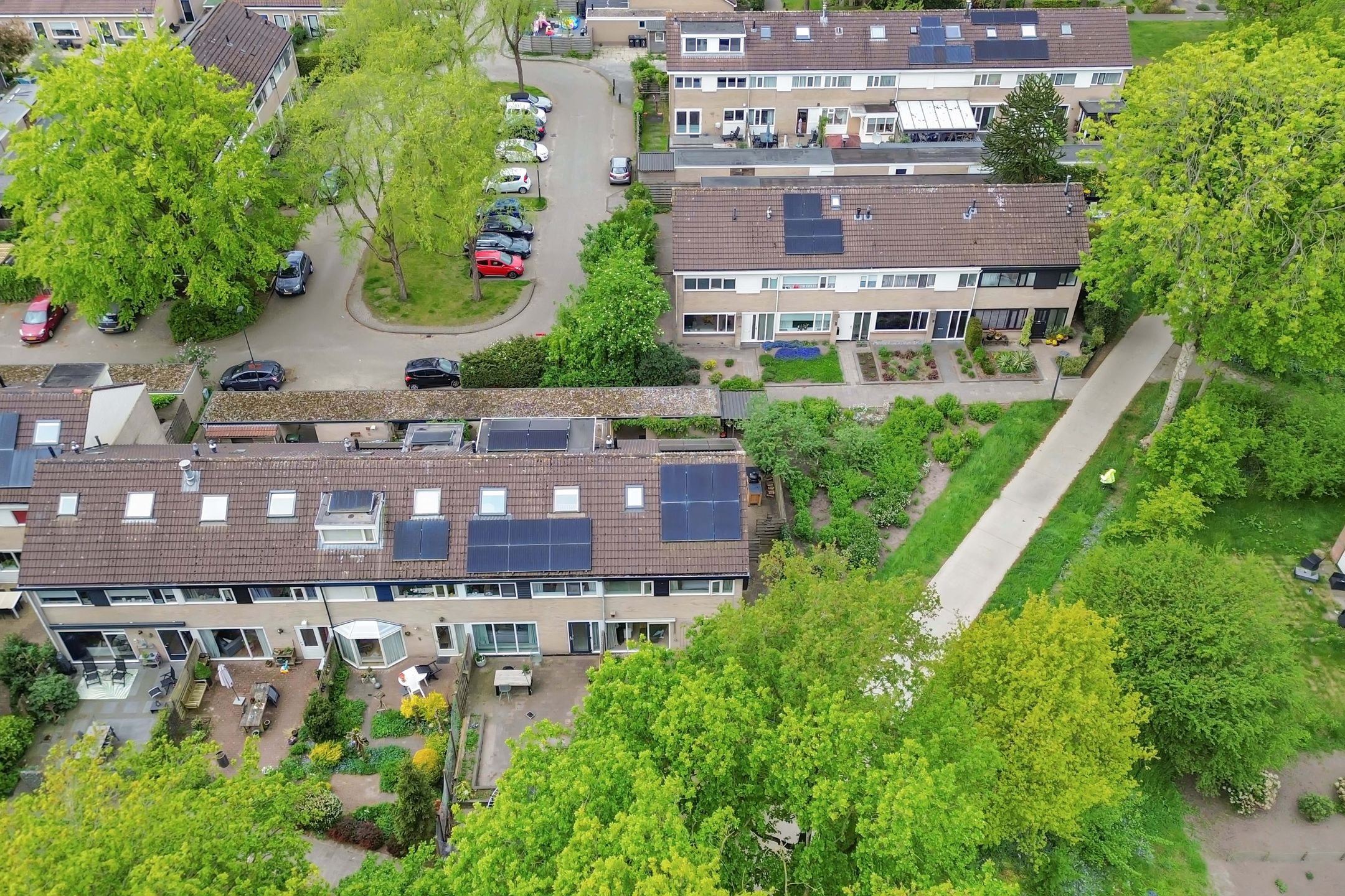 Foto 54 van Zwemmer 57