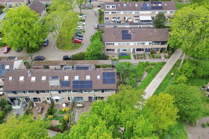 Photo 54 of Zwemmer 57