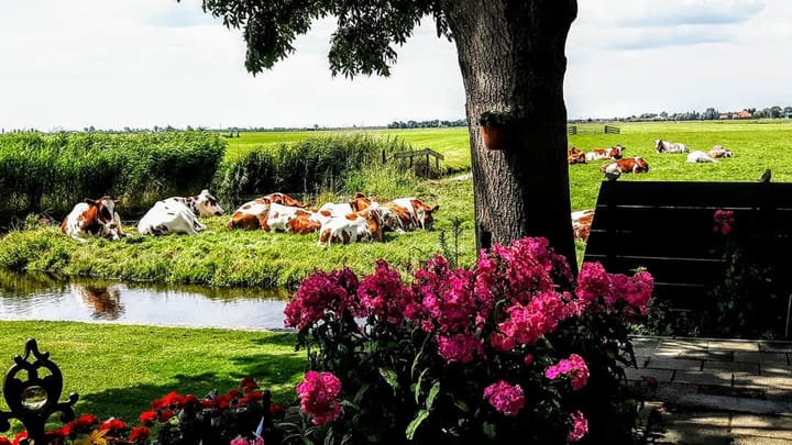 Photo 31 of Hoogedijk 60