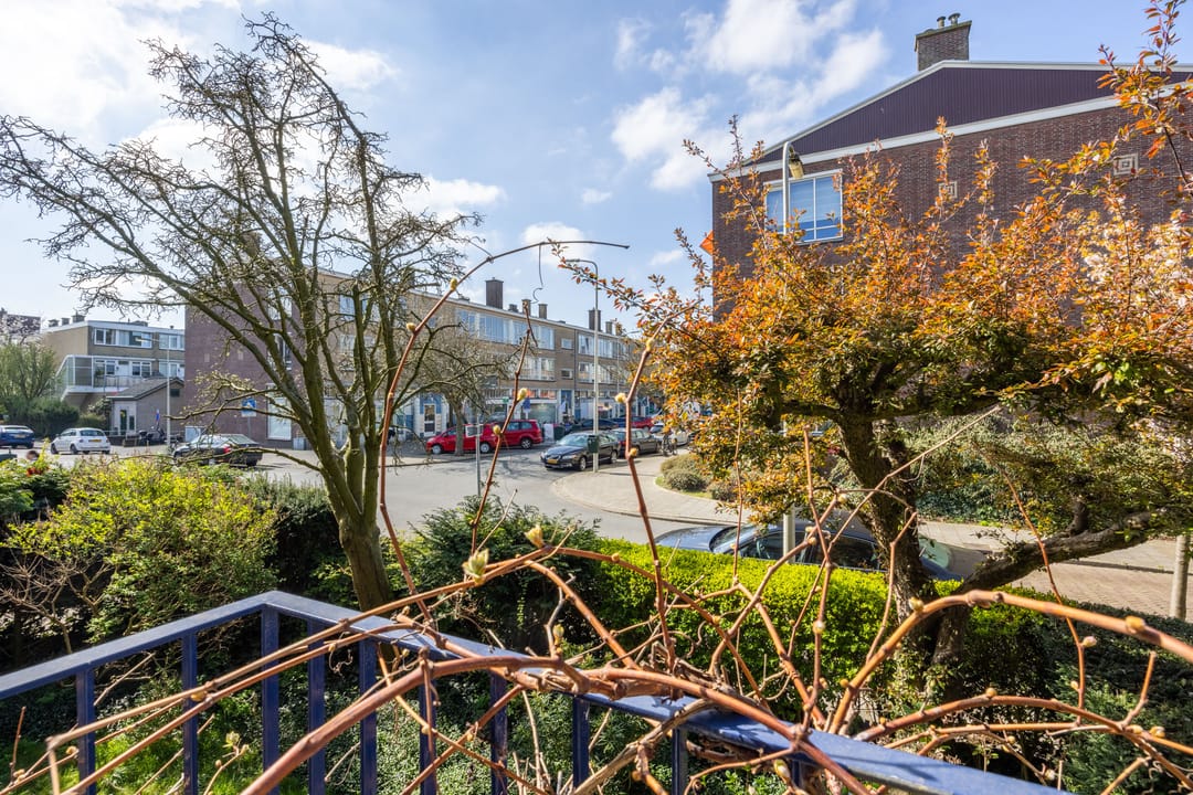 Foto 11 van Mankesstraat 85