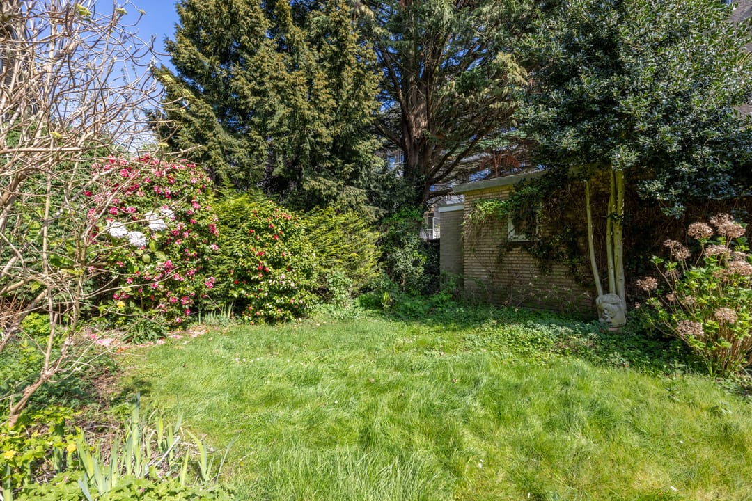 Foto 17 van Mankesstraat 85