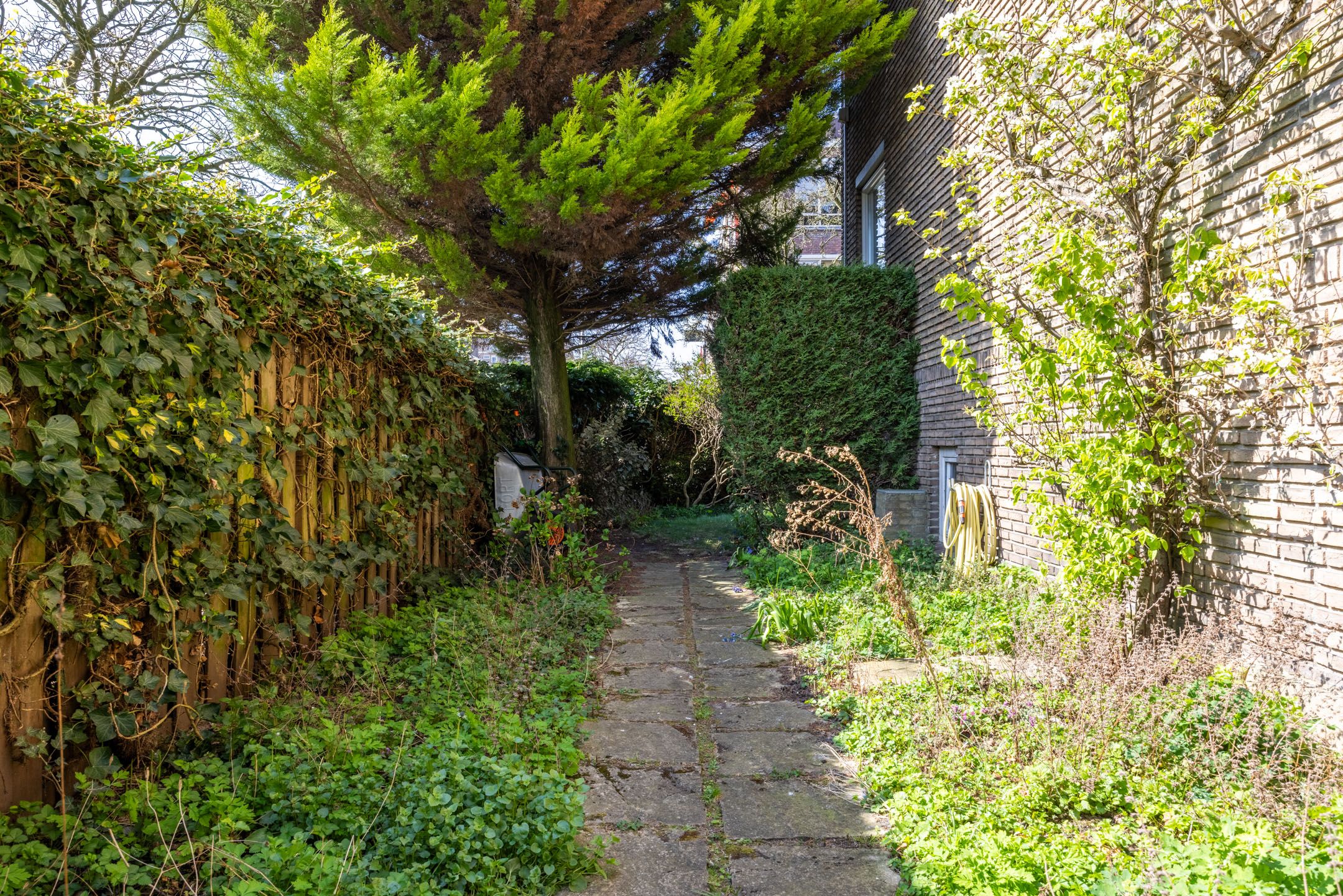 Foto 21 van Mankesstraat 85