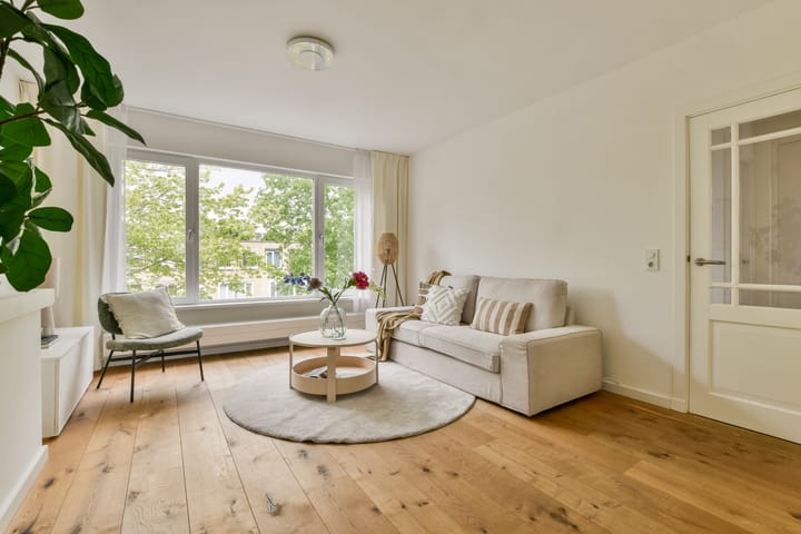 Foto 2 van Anthony Fokkerlaan 22-II