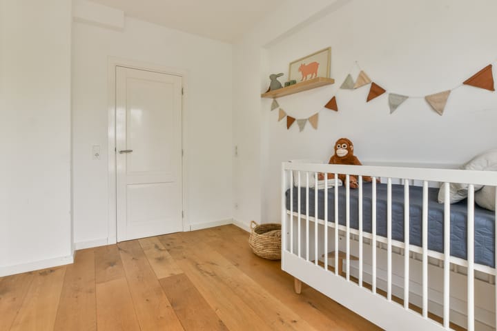 Foto 13 van Anthony Fokkerlaan 22-II