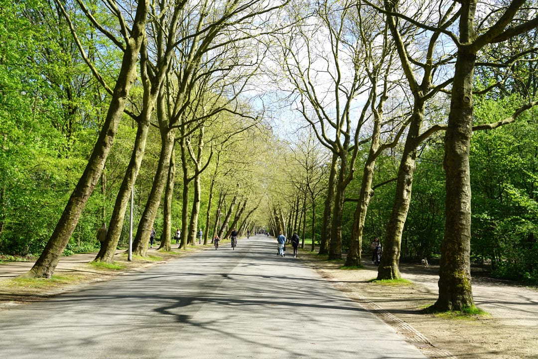 Photo 28 of Zocherstraat 33-1