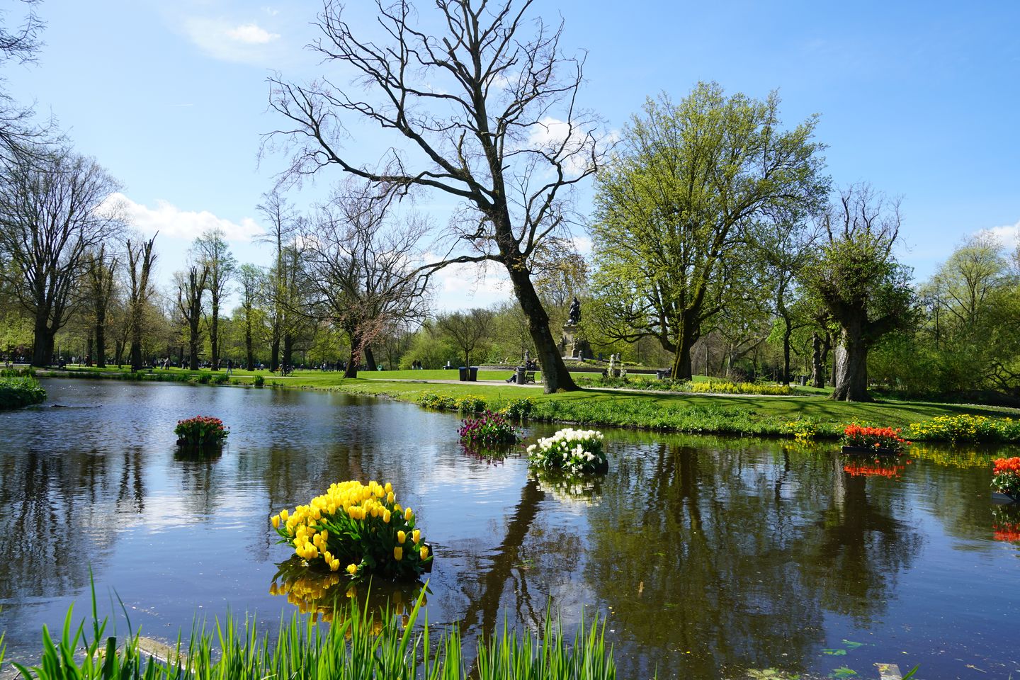 Photo 29 of Zocherstraat 33-1