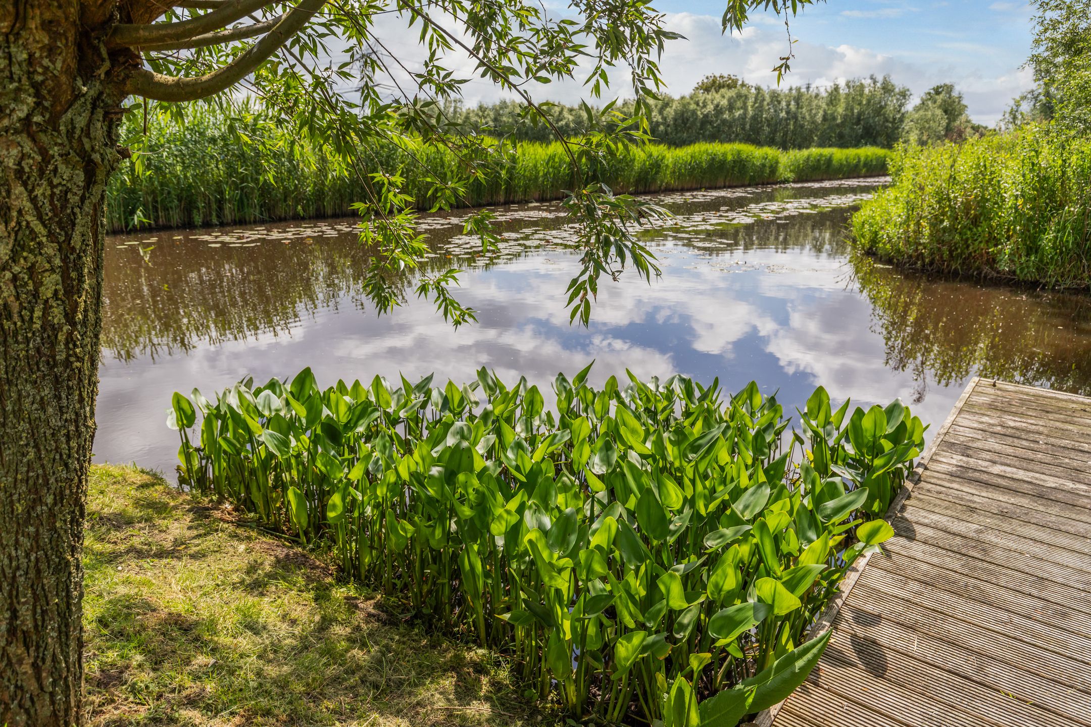 Foto 60 van Oud Aa 14