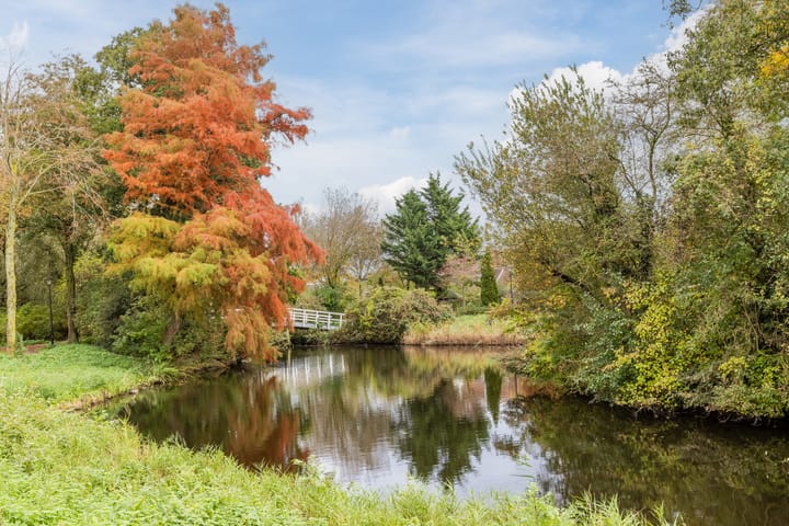 Foto 40 van Rosmolen 81