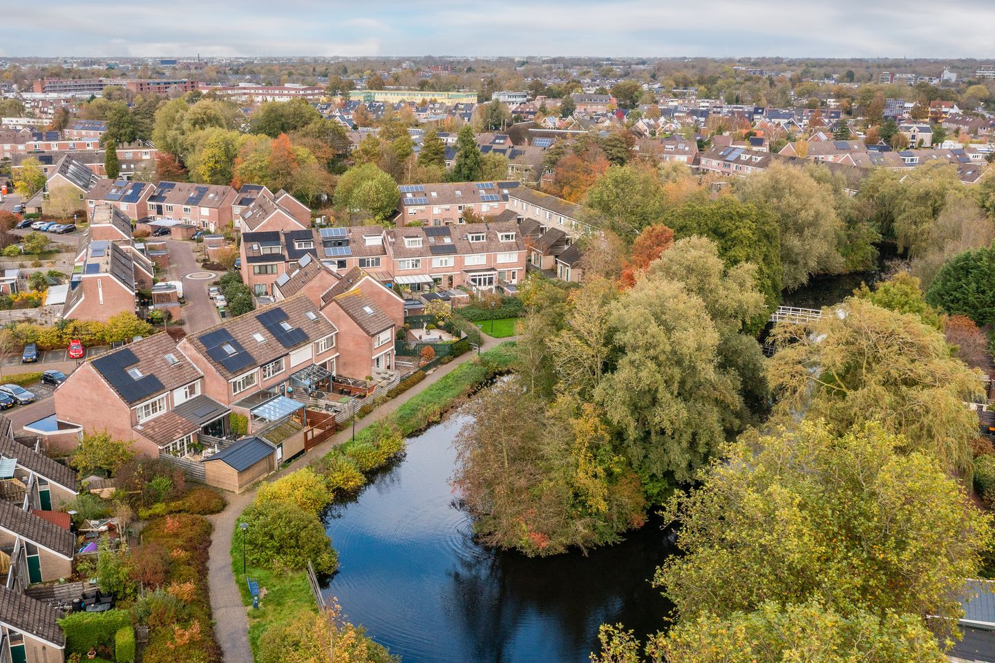 Foto 50 van Rosmolen 81