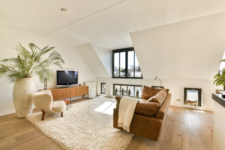 Foto 8 van Govert Flinckstraat 259-F