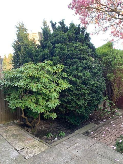 Foto 37 van Sint Philipsland 19