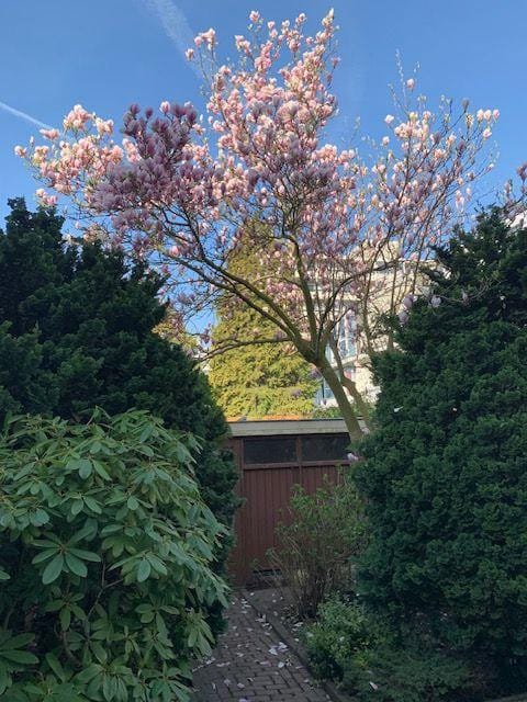 Foto 36 van Sint Philipsland 19