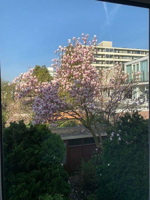 Foto 18 van Sint Philipsland 19