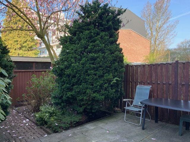 Foto 35 van Sint Philipsland 19