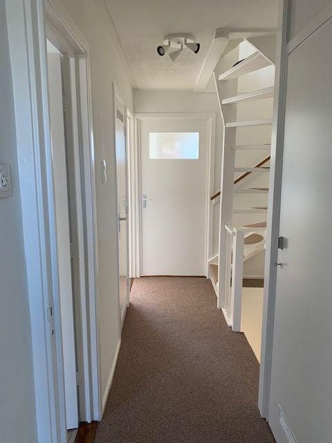 Foto 23 van Sint Philipsland 19