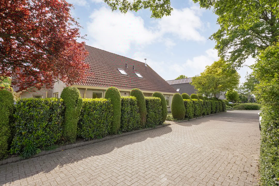 Photo 56 of Schultambt 8