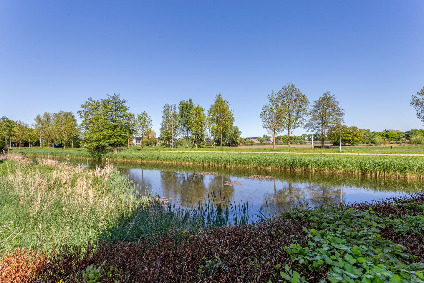 Foto 49 van De Lepelaar 16