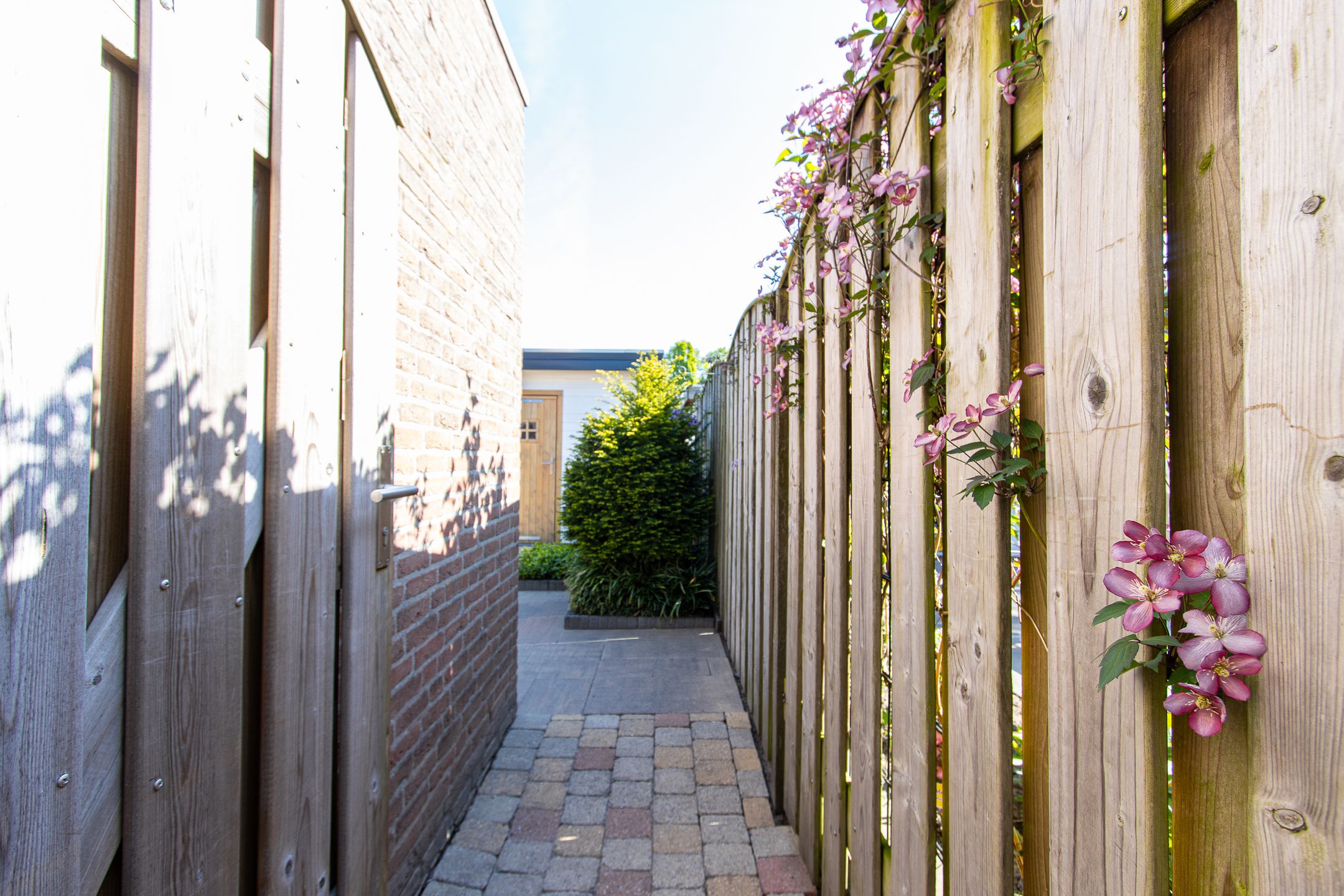 Foto 48 van Bereklauw 3