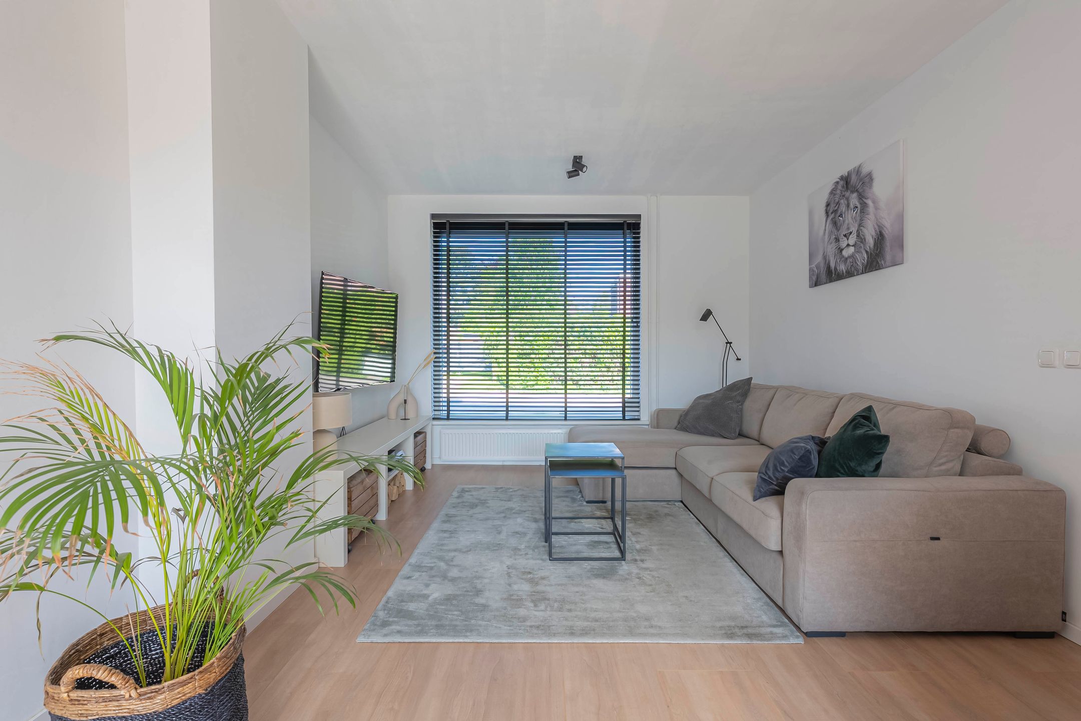 Foto 3 van Koning Hendrikstraat 7