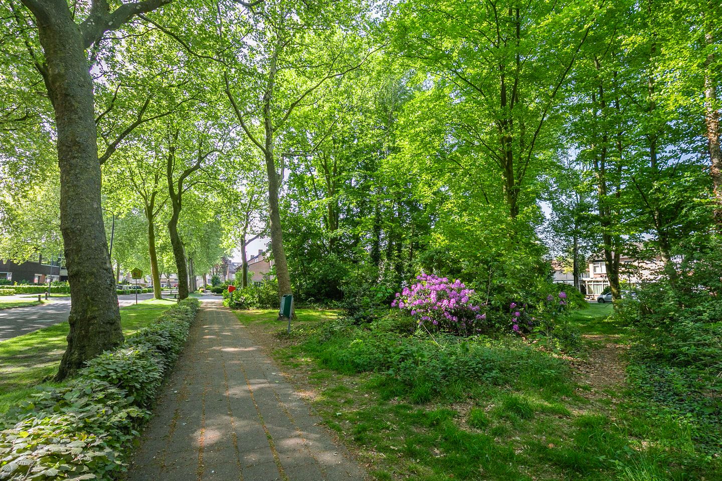 Foto 34 van Plonderijen 33