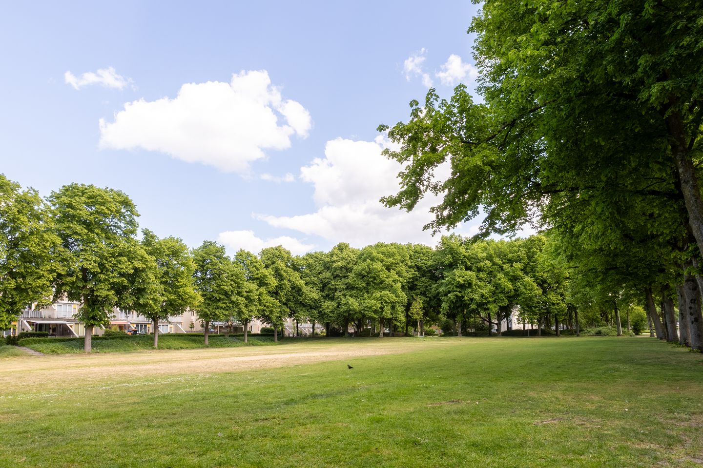 Foto 29 van Artilleriestraat 23