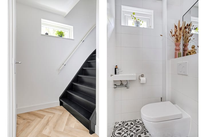 Foto 9 van Steppevlinder 26