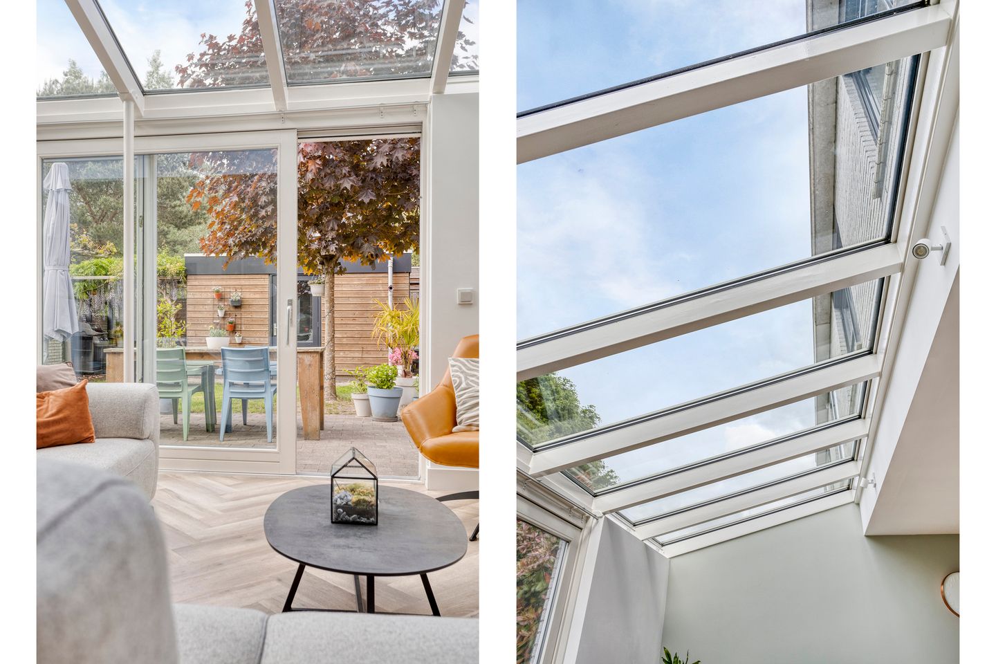 Foto 20 van Steppevlinder 26