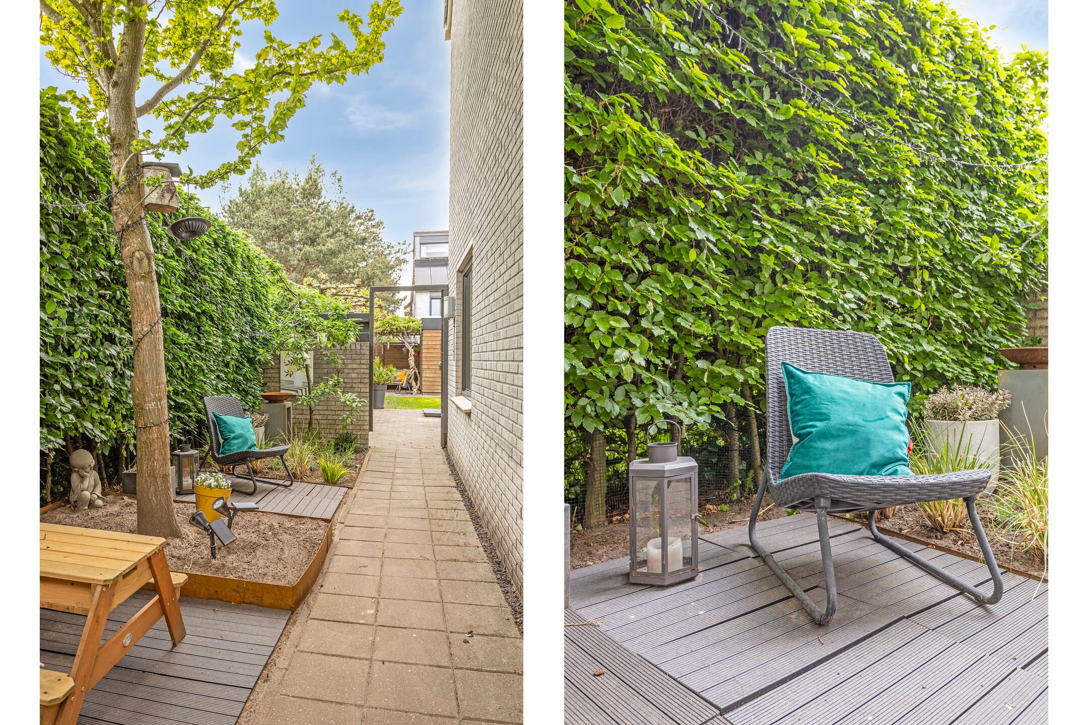 Foto 51 van Steppevlinder 26