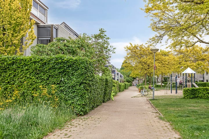 Foto 55 van Steppevlinder 26