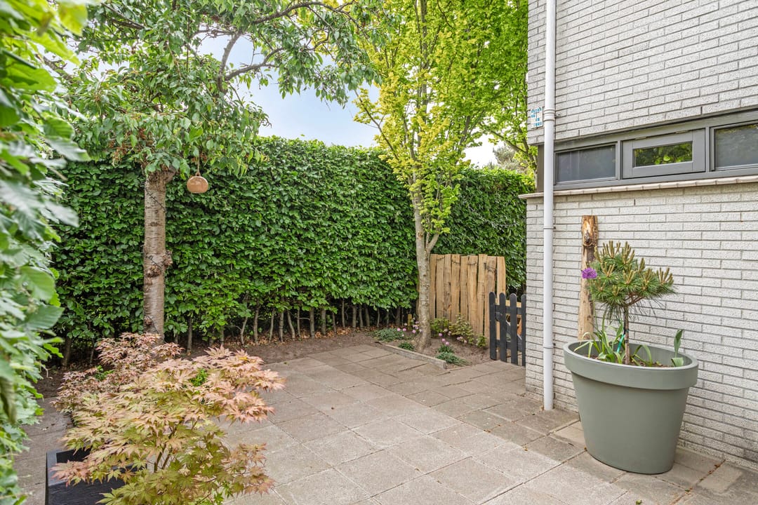 Foto 52 van Steppevlinder 26